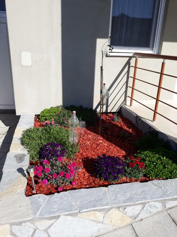 Simica Cose Apartment Vrdnik Bagian luar foto